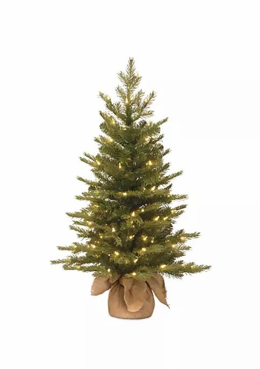 Trees * | Best Sale National Tree 3 Pre-Lit Potted Nordic Spruce Medium Artificial Christmas Tree Clear Lights Green