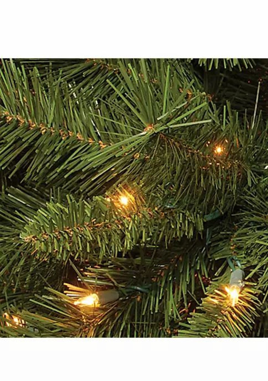 Trees * | Discount National Tree 6 Pre-Lit Full Winchester Pine Artificial Christmas Tree Clear Lights Green