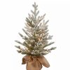 Trees * | Budget National Tree 2.5 Pre-Lit Medium Snowy Cambridge Artificial Christmas Tree Warm Led Lights White