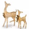 Home * | Discount National Tree Set Of 2 Led Lighted Champagne Fawn With Doe Outdoor Christmas Decoration 38 Gold