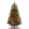 Home * | Flash Sale National Tree 5' Pre-Lit Medium North Valley Spruce Artificial Christmas Tree Clear Lights Green