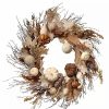 Home * | Buy National Tree And Brown Artificial Autumn Wreath 28-Inch Unlit White